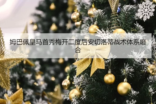 mu-ba-pei-huang-ma-shou-xiu-mei-kai-er-du-hou-an-qie-luo-di-zhan-shu-ti-xi-mo-he-2-343.jpg